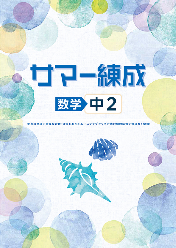 指導書 サマー練成 中２ 数学