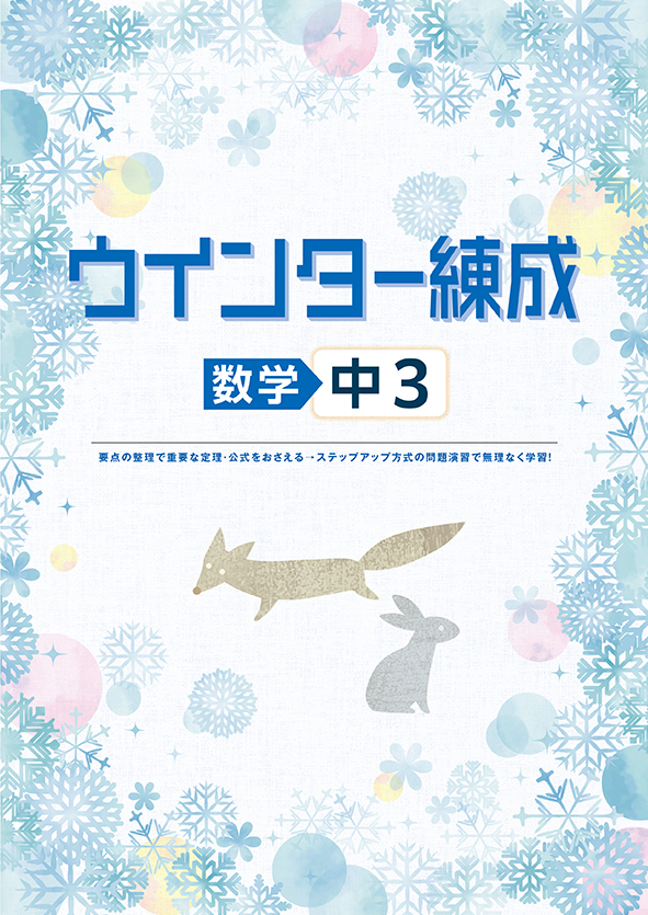 ウインター練成 中３ 数学