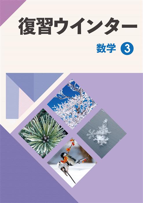 復習ウインター 中３ 数学