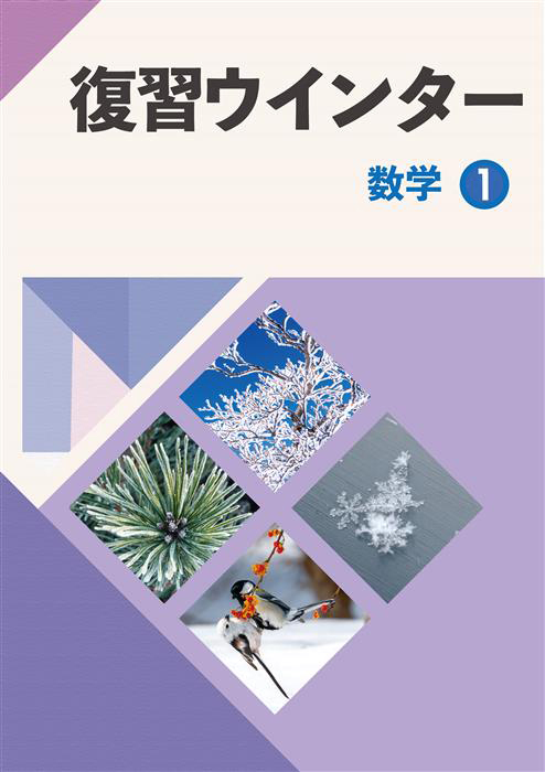 復習ウインター 中１ 数学