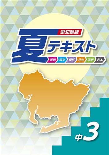 指導書 愛知県版 夏テキスト 中３ 英語・数学・国語・理科・社会合本