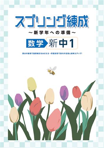 スプリング練成～新学年への準備～ 中１ 数学