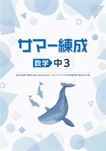 サマー練成 中３ 数学