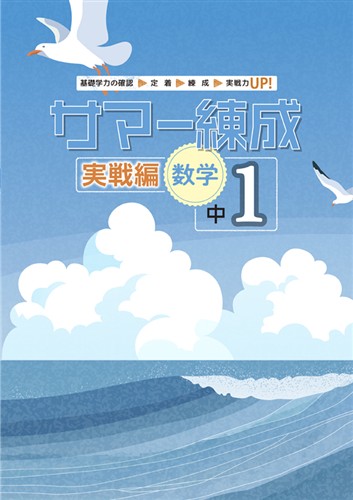 指導書 サマー練成 実戦編 中１ 数学