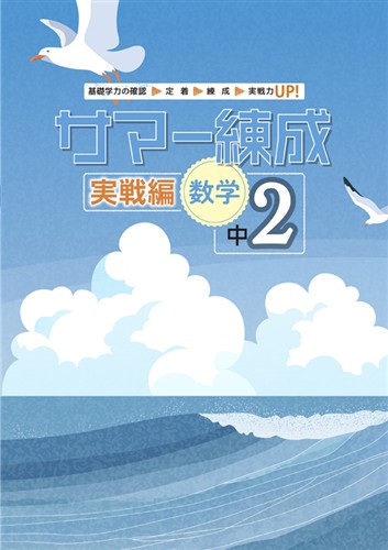 指導書 サマー練成 実戦編 中２ 数学