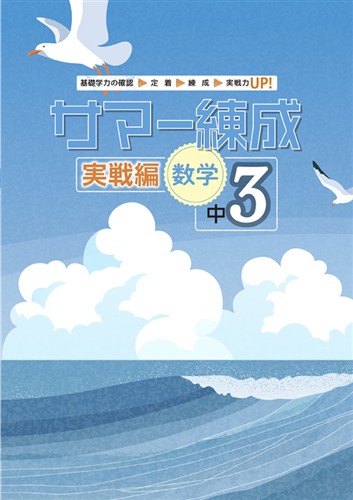 サマー練成 実戦編 中３ 数学