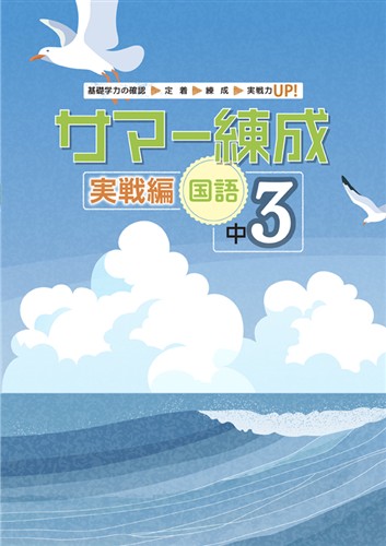 サマー練成 実戦編 中３ 国語
