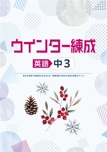 指導書 ウインター練成 中３ 英語