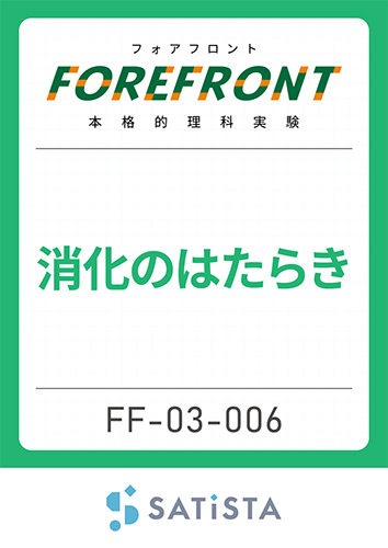 消化のはたらき
